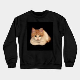 Portrait of domestic red kitten Crewneck Sweatshirt